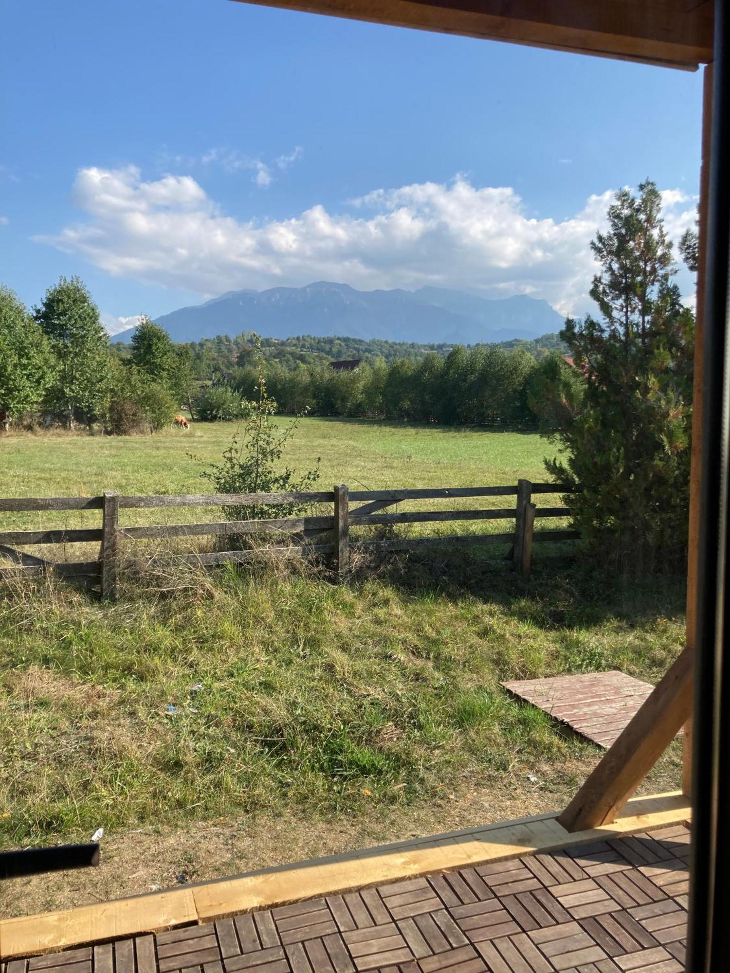 Bran White Clouds House And Chalet Extérieur photo