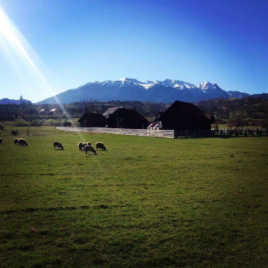 Bran White Clouds House And Chalet Extérieur photo