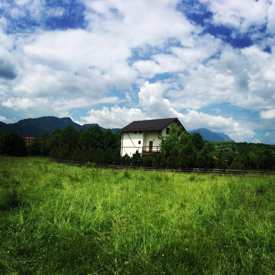 Bran Nori Albi Vila Si Cabana Bran (Brasov) Extérieur photo